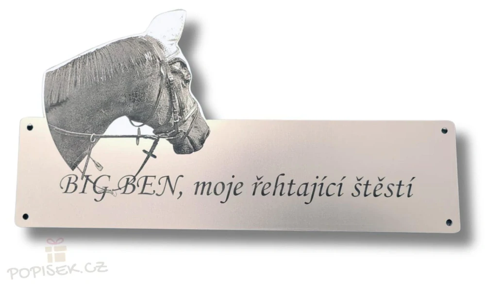 CEDULE tady hlídám já ! + šrouby