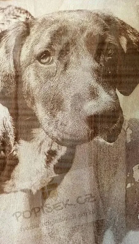 Dřevěný obraz s fotkou 35×25 cm