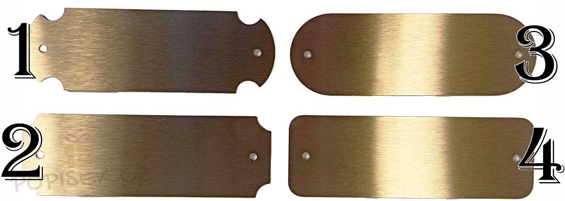 kovová jmenovka na dveře - 2,šrouby,fotka / fotka + text