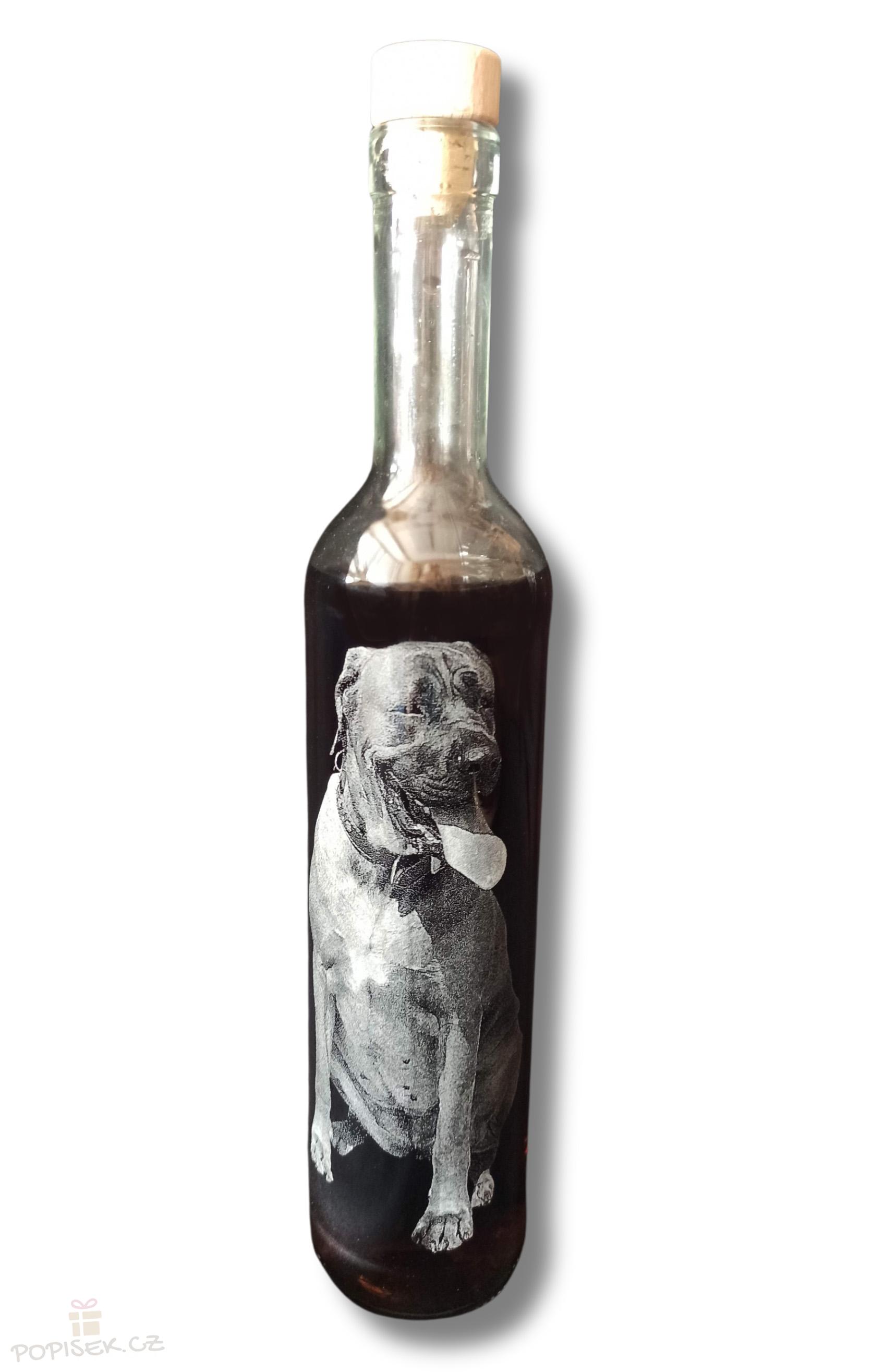 Láhev s fotografií - 0,5l - obrázek / fotografii