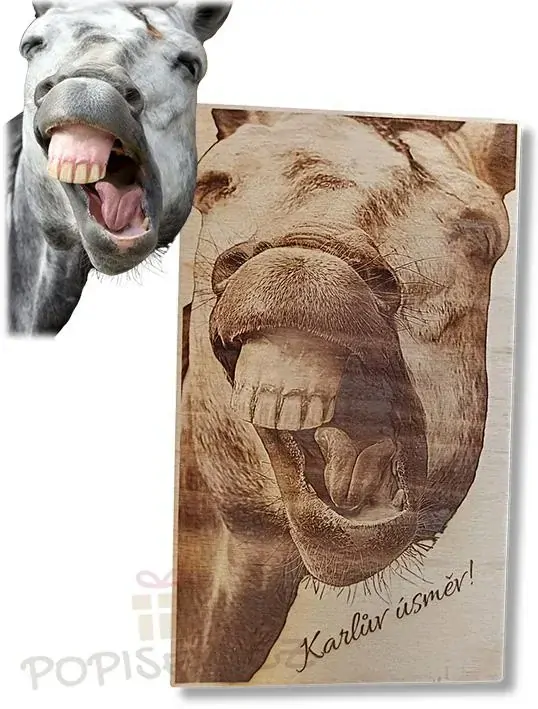 Fotografie do dřeva – A3 zavěšení