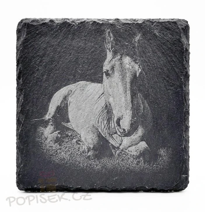 Podtácky s fotografií 1ks/4 ks 🍺