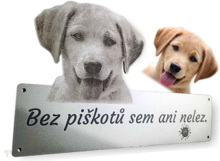 Cedule na plot - "tady hlídám já!"