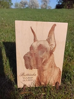 Fotografie do dřeva – A4 (30x21 cm)