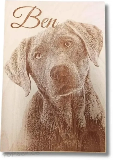 Fotografie do dřeva – A3 (42x30 cm)