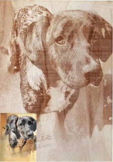 Dřevěný obraz s fotkou 35×25 cm